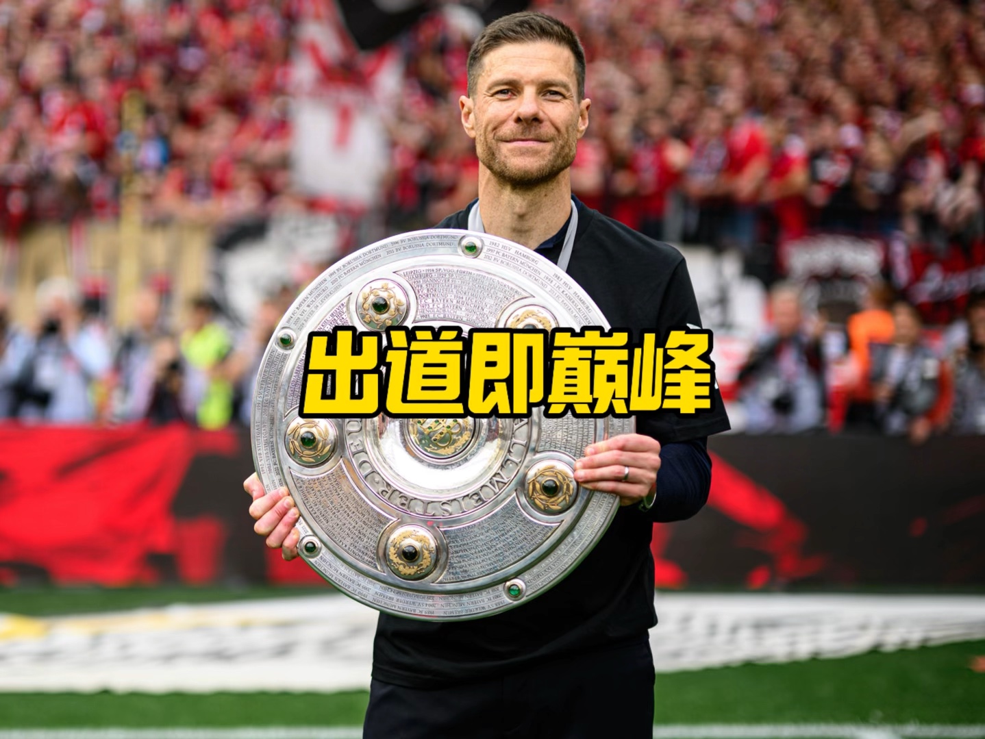 对比分析
