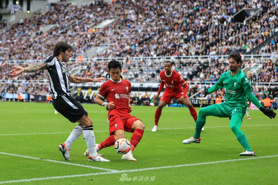 不屈的冠军 不屈的冠军